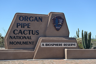 Eingang zum Organ Pipe Cactus National Monument
